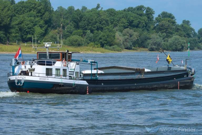 Wijnanda — thumbnail 2