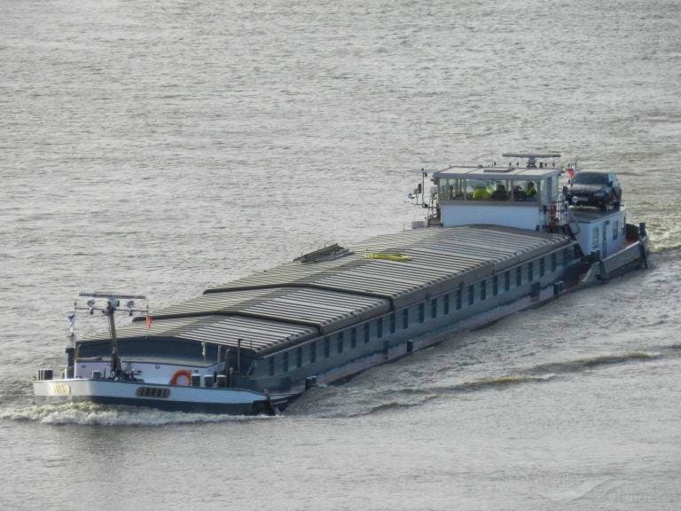 Jordi — thumbnail 2