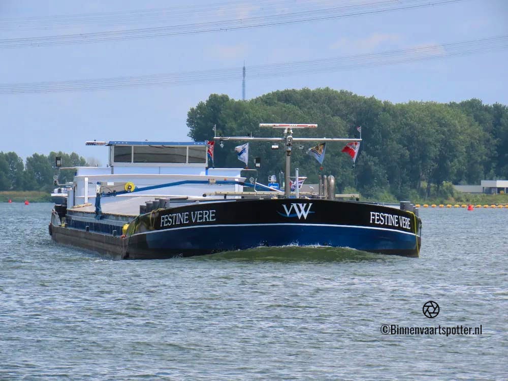 Festine Vere — thumbnail 3