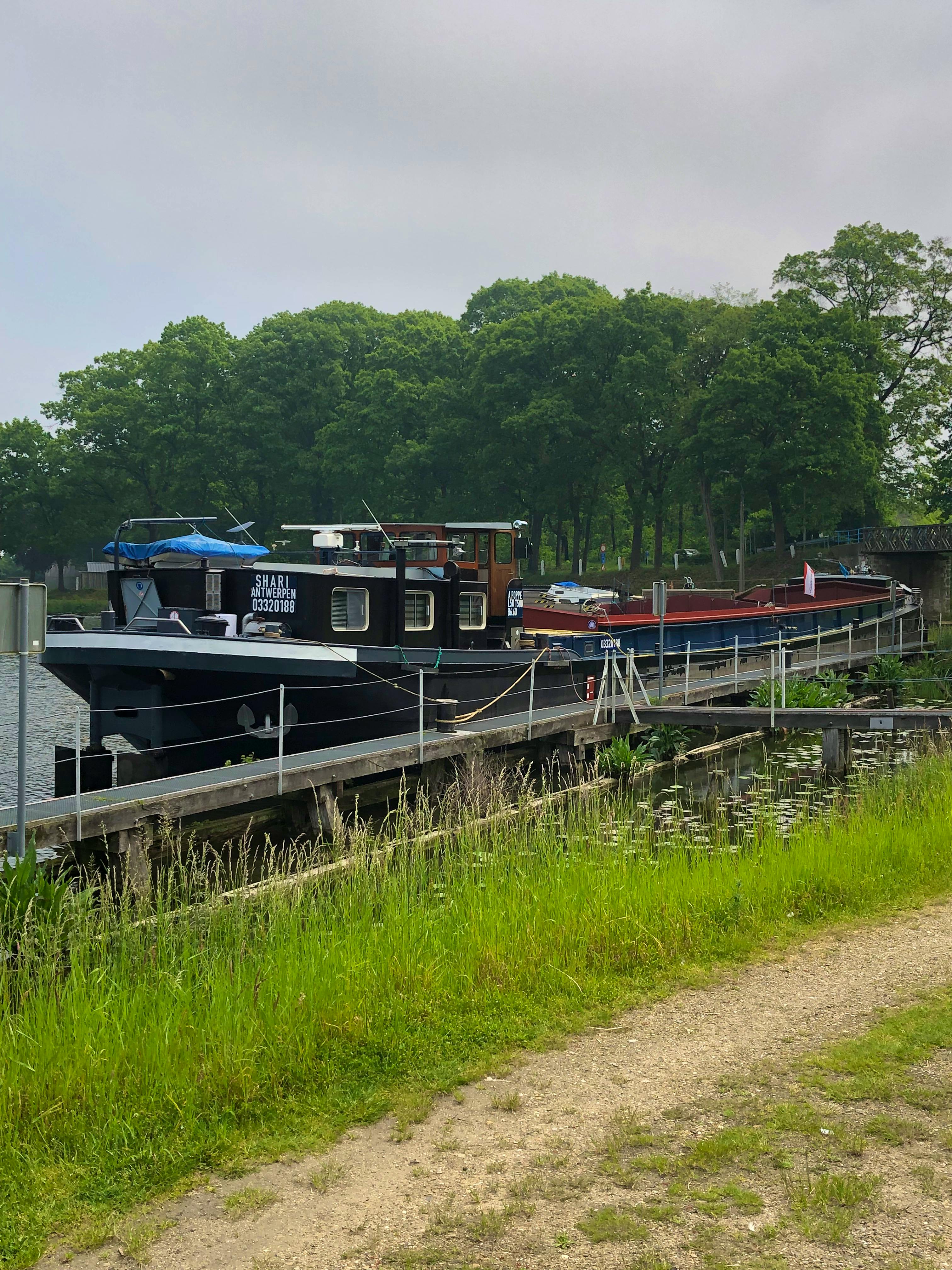 Shari — thumbnail 2