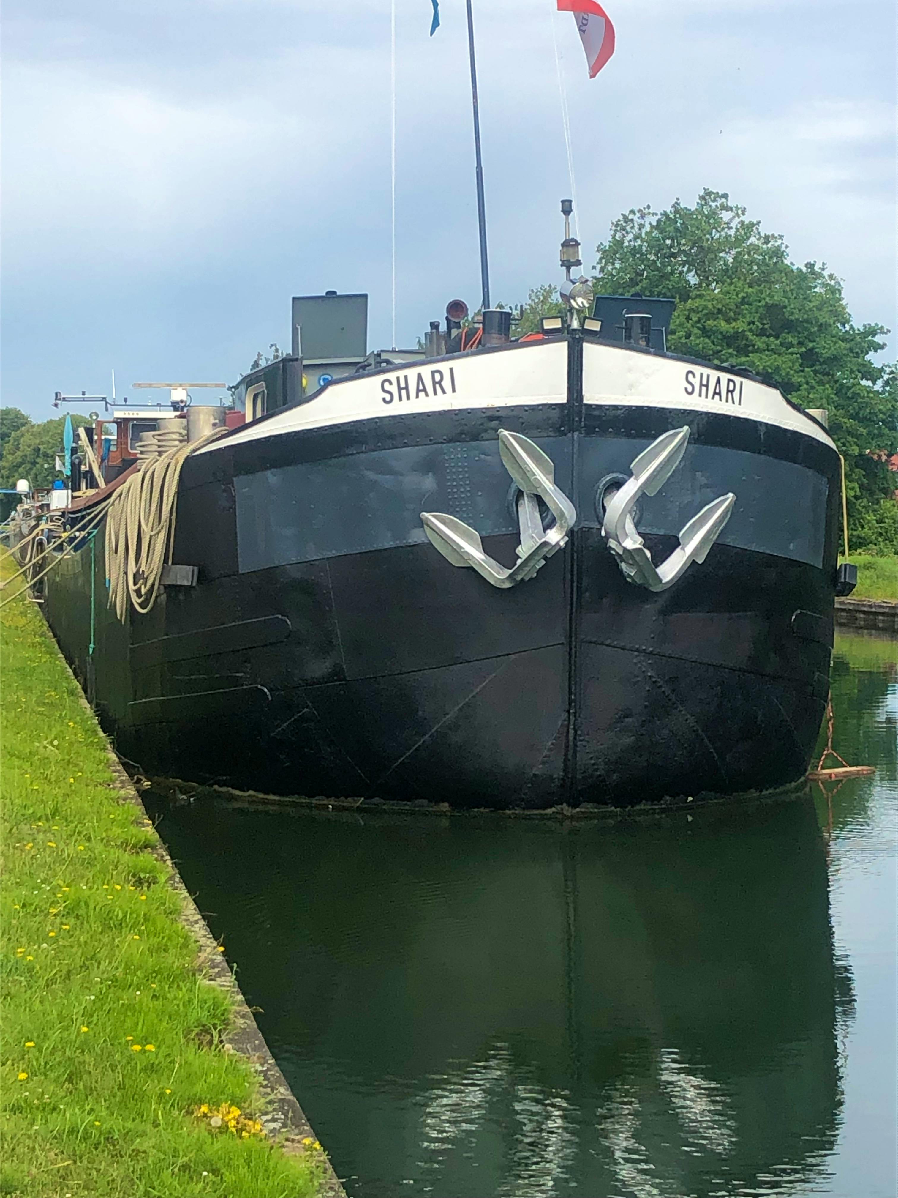 Shari — thumbnail 4