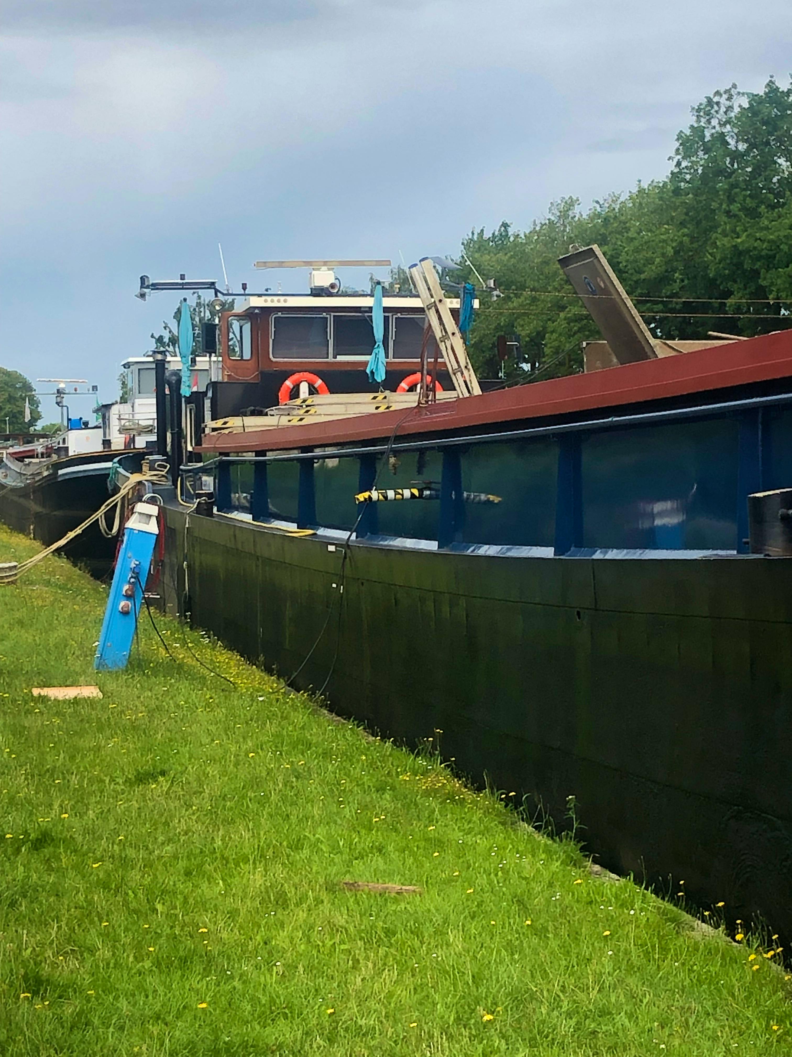 Shari — thumbnail 3