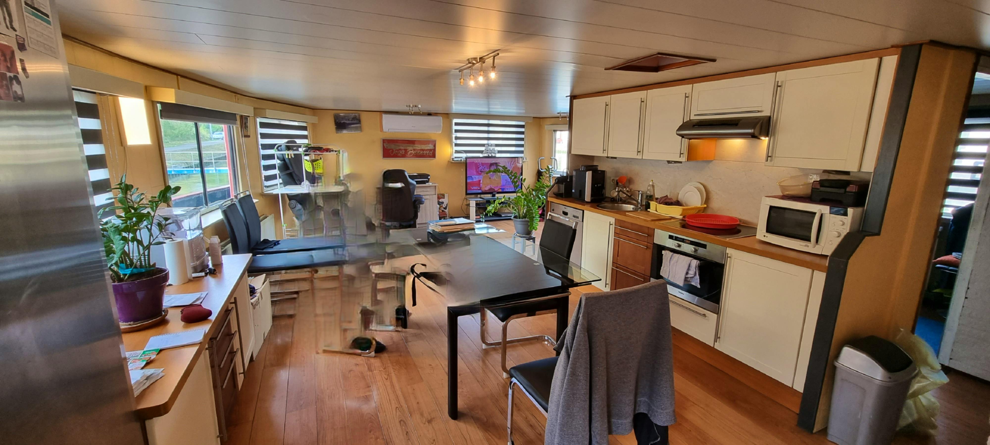 Vega — thumbnail 4