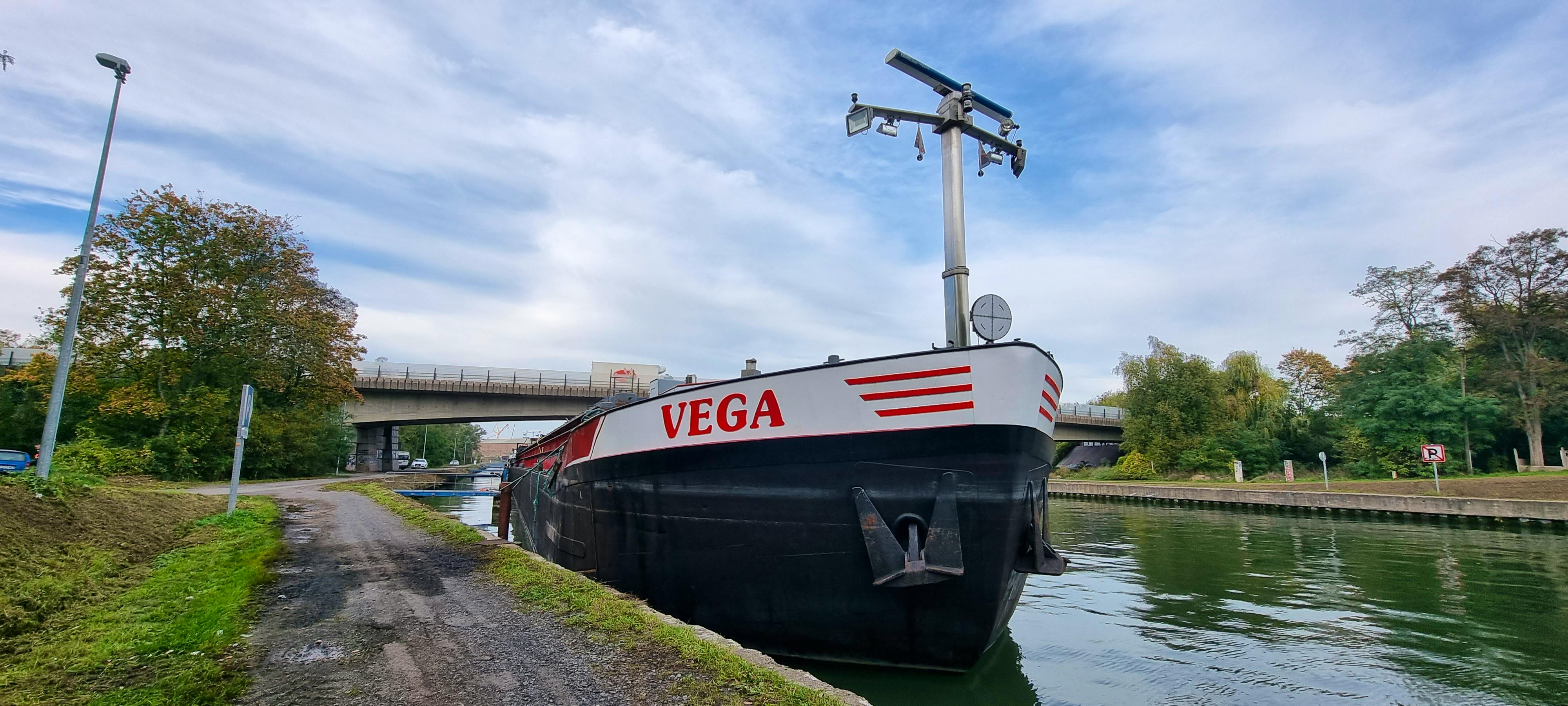 Vega — thumbnail 2