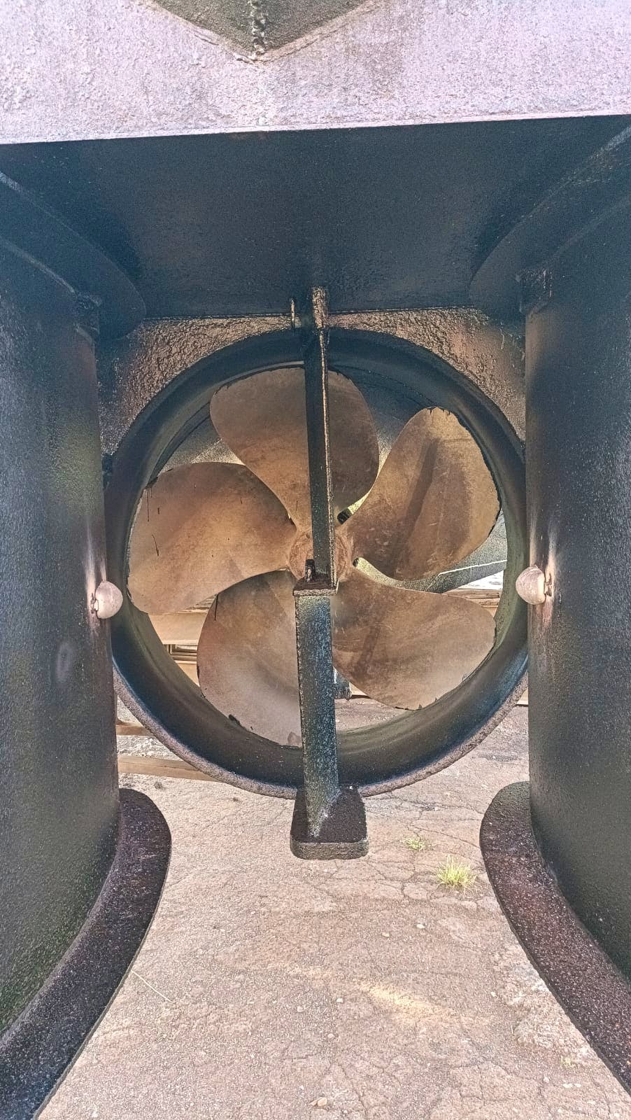 Regina-W — thumbnail 5