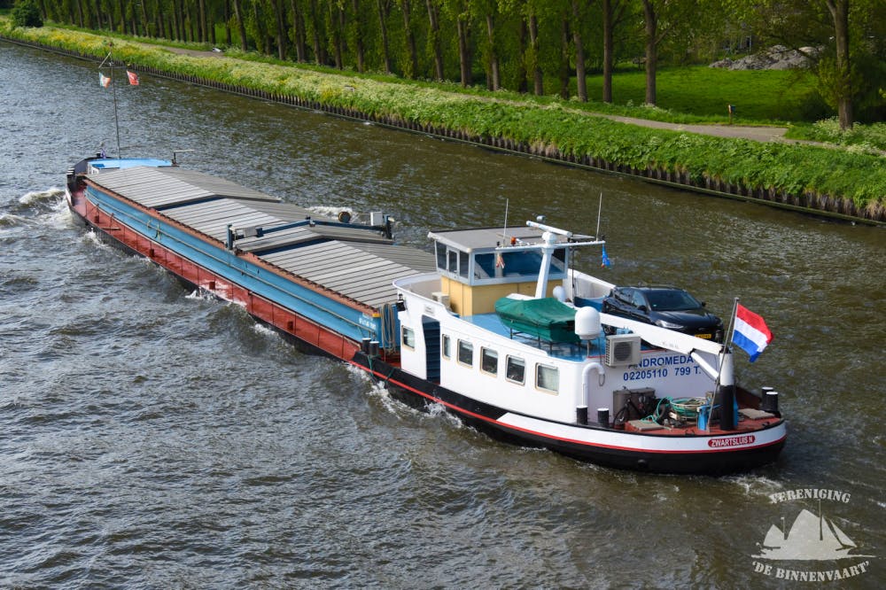 Andromeda — thumbnail 4