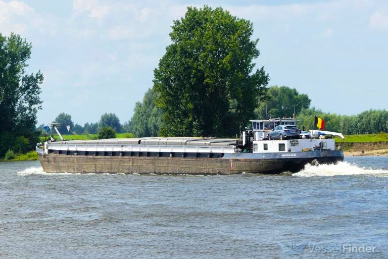 Noortje B — thumbnail 2