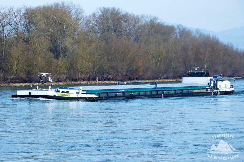 Vera S — thumbnail 4